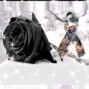 Meet your Posher, Adriana